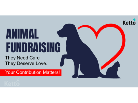Animal Crowdfunding – Fundraising For Stray Animals & NGOs - Ketto Animal Crowdfunding – Fundraising For Stray Animals & NGOs - Ketto