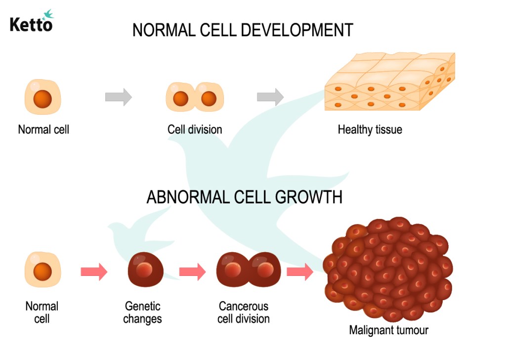 Normal and Abnormal cell development