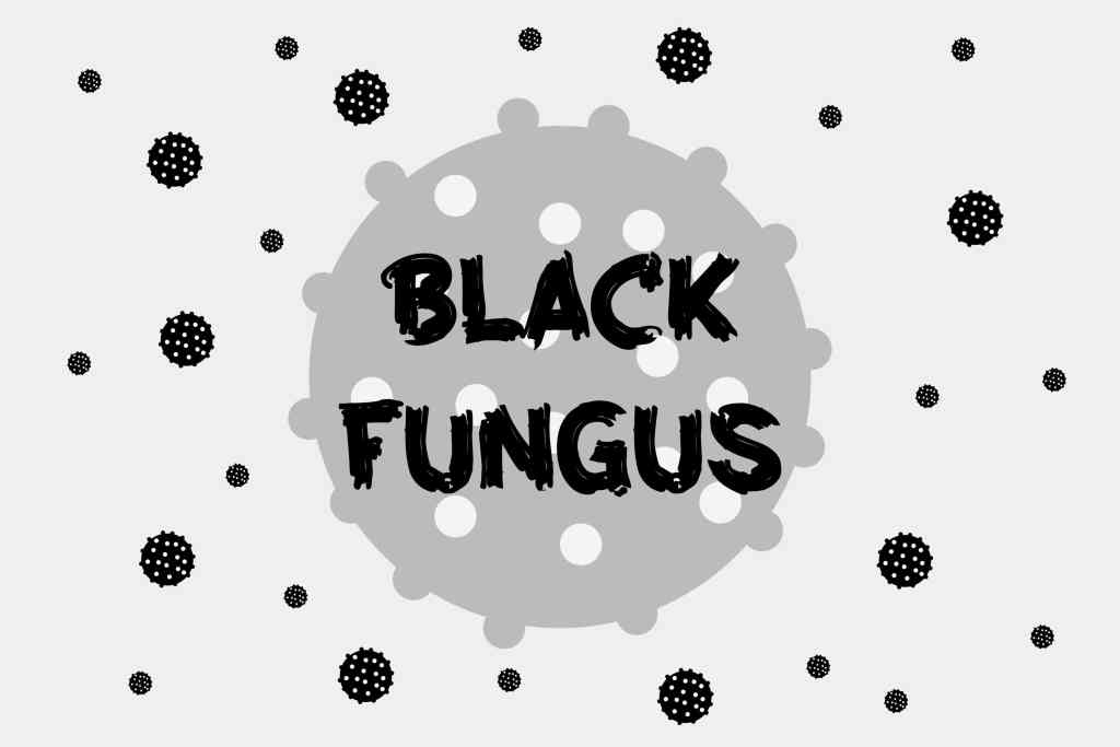 Black Fungus