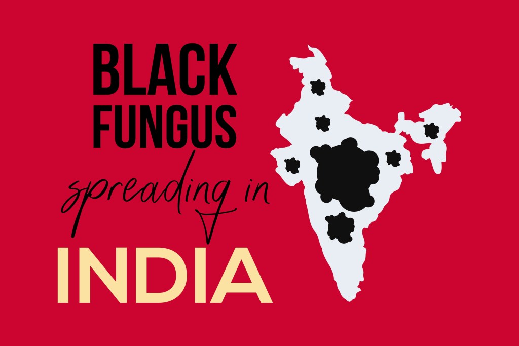 Black Fungus Spreading In India